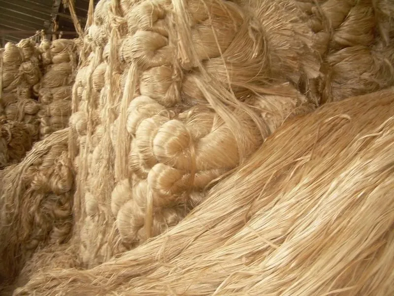 Сорта джута